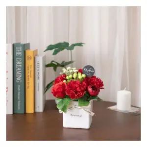 밀크카네이션화분Aset 22cm 2컬러 조화 꽃 어버이날 선물