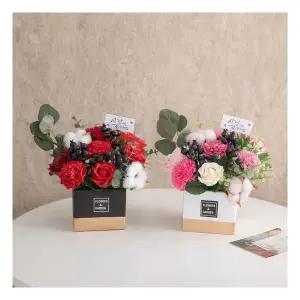 폴베리 카네이션 화분Aset 24cm 2컬러 조화 어버이날 스승의날 꽃