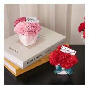 하트진주 카네이션 화분set 8cm 2컬러 조화 어버이날 스승의날 선물 감사