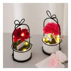 LED 마더카네이션화분set 19cm 2컬러 조화 어버이날 감사 선물