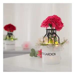 LED 반짝이는카네이션화분set 20cm 2컬러 조화 어버이날 감사 선물 테이블 장식