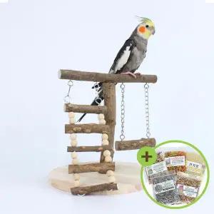 [하프클럽/올펫몰]친환경 종합 놀이터 앵무새 장난감 원목 그네 사다리