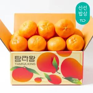 [탐라왕] 고당도 제주 레드향 2kg