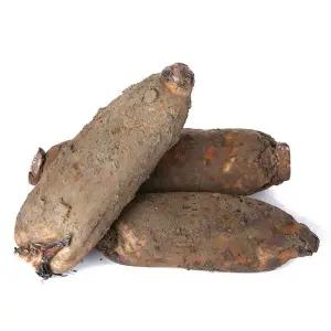 [햇살조은]국내산 밀양 햇 생 연근 1kg(특품)