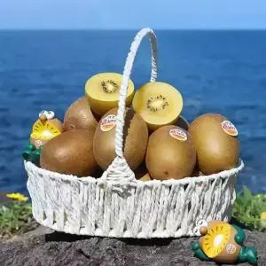 [거북농산]제주하트골드키위 5kg/제주도 제스프리 골드키위 5.7kg 옵션선택