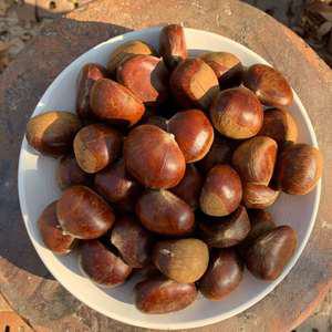 햇 알밤 공주밤 약단밤 생율밤 1kg