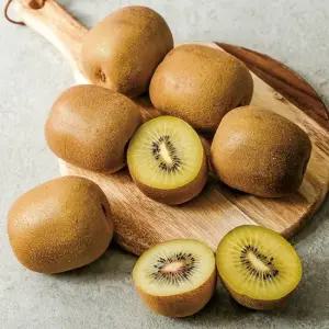 [농부마음] 보성 스위트 골드키위 2kg (28-32과) 꼬마