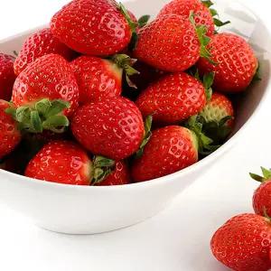 때깔찬 설향 제철 딸기 실중량 1kg / 꼬마 주스용