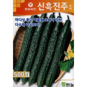 (씨앗) 신흑진주오이 - 마디성이 좋은 다수확 가시오이 씨앗 종자 - 농가용 대포장 - 500립