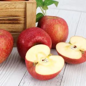 [아침의뜰](당도선별)경북영주 햇 부사사과4kg(대과/13과내)