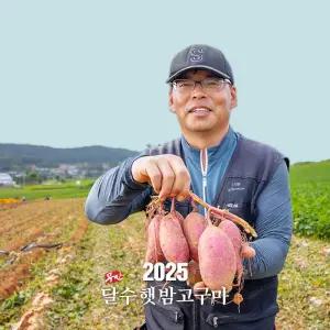 [착한농부] 기영민 무안 황토땅 햇 밤고구마 5kg #이렇게달수가