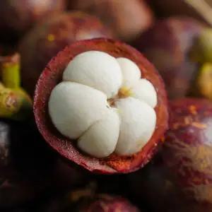 열대과일의 여왕 생망고스틴 4-6입 10망 5kg