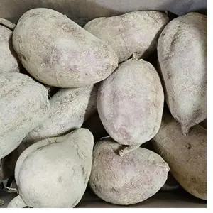 강화특산물 속노랑 호박고구마 대 사이즈(250g~350g)5kg