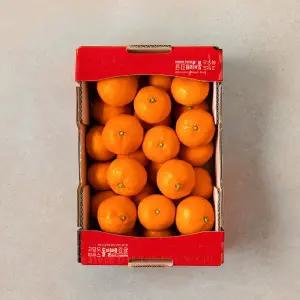 하우스 돌빌레 감귤 1.8kg 박스