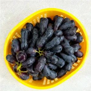 씨없는 고당도 블랙사파이어포도 간식용 수입산 2kg