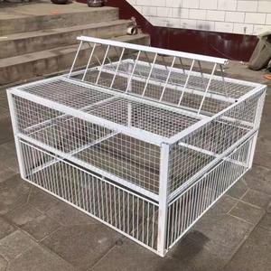 비둘기 조류 까마귀 잡기 농작물 사냥 기 농장 잡는 트랩 새트랩 새 새장