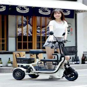 에코볼트 세발전기자전거 2인용 접이식 48V 세발 전동자전거