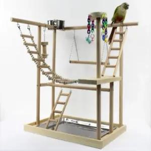 앵무새 놀이터 코뉴어 사랑앵무