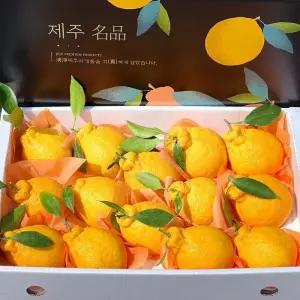 감동 제주 한라봉 선물세트 4.5kg 18-24과 중과 제주도한라봉 설과일선물 부모님 설선