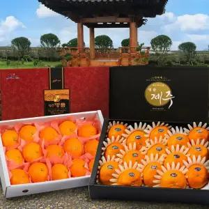 제주 레드향 3kg 5kg 고당도 가정용 설 선물 세트 설날 명절