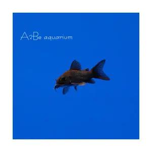 [에이투비]짜장 베네수엘라 블랙 코리도라스 / 3cm전후 / 1마리