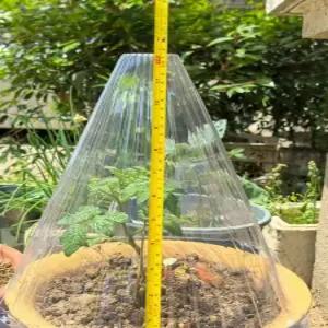 식물 보호 덮개 텃밭 꼬깔 방충 초대형 모종 캡 보온