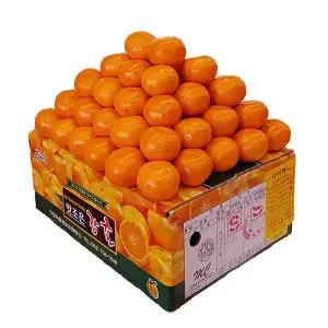 비가림 타이벡 감귤 5kg L크기 서귀포