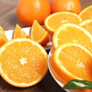 [3/3 순 차 출 고]고당도 블랙라벨 오렌지 중소/중/대과 5/3kg