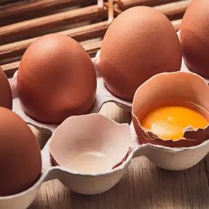 [맘란][한솔양계 맘란] 1등급 무항생제 특란 60구  /폴리페놀나노코팅 KAIST 계란 달걀