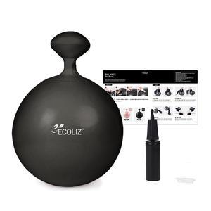 에코리즈 밸런스 짐볼 65cm 짐볼의자
