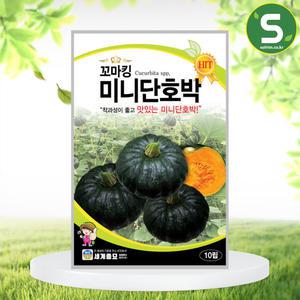 꼬마킹미니단호박 10립 호박씨앗 밤호박 저장성 좋음