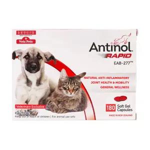 안티놀 래피드 180캡슐