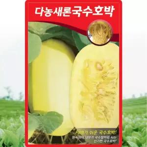다농 새론국수호박 씨앗 30립 넝쿨성 국수호박씨 종자
