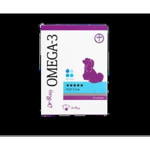 닥터레이 오메가3 강아지 영양제 레이앤이본