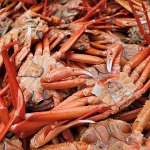 구룡포 후포리 제철 박달홍게(대) 3kg (5-6미) 자숙 찜 붉은대게