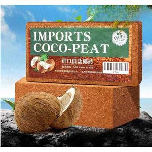 식물 영양토 코코넛 브릭 분갈이흙 뿌리 상토 에버모스트