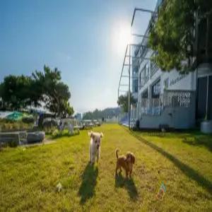 [강원 펜션] 고성 멍스테이 (속초,고성)