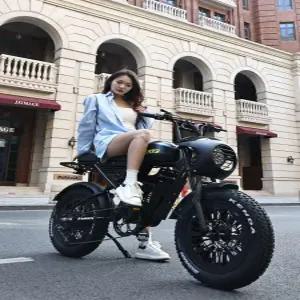 노르테 전기 자전거 팻바이크 출퇴근용 접이식 배달용