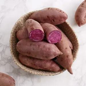 유기농 햇 자색 고구마 특상 3kg外