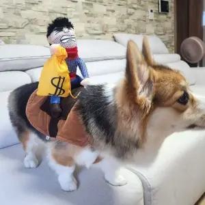 옷 코스튬 약탈범 S 애견 강아지 할로윈 코스프레 고 (WFKB8DL)