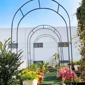 스테인레스 아치 프레임 덩굴 야외 포도 가든 장미 식물