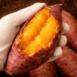 5KG+5KG 해남 베니하루카 꿀고구마 10KG 특상