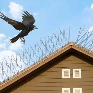 조류퇴치 버드스파이크 12set 스텐 블럭 비둘기 조류퇴치 버드스파이크