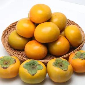 [다농이네][정명기님 생산] 창원 북면 단감 10kg (61-70과)