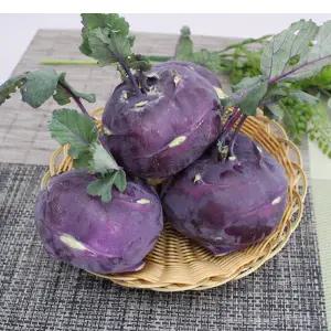 햇콜라비 10kg 1 박스 자연대로팜웨이