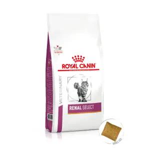 [라온펫동물병원]로얄캐닌 캣 레날 셀렉트 2kg