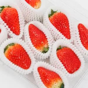 국내산 고당도 킹스베리 딸기 대왕 생딸기 350g 700g