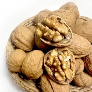 피호두 1kg / 25년산 알호두 프리마제품 부럼 견과류