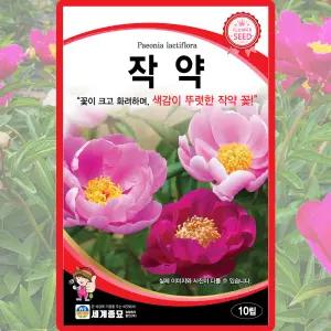 세계종묘 작약 씨앗 10립 작약 다년생 꽃씨 약초 종자