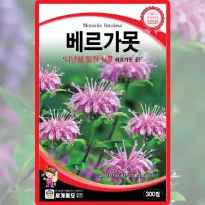 세계종묘 베르가못 씨앗 300립 월동가능 베르가못 다년생 꽃씨 종자